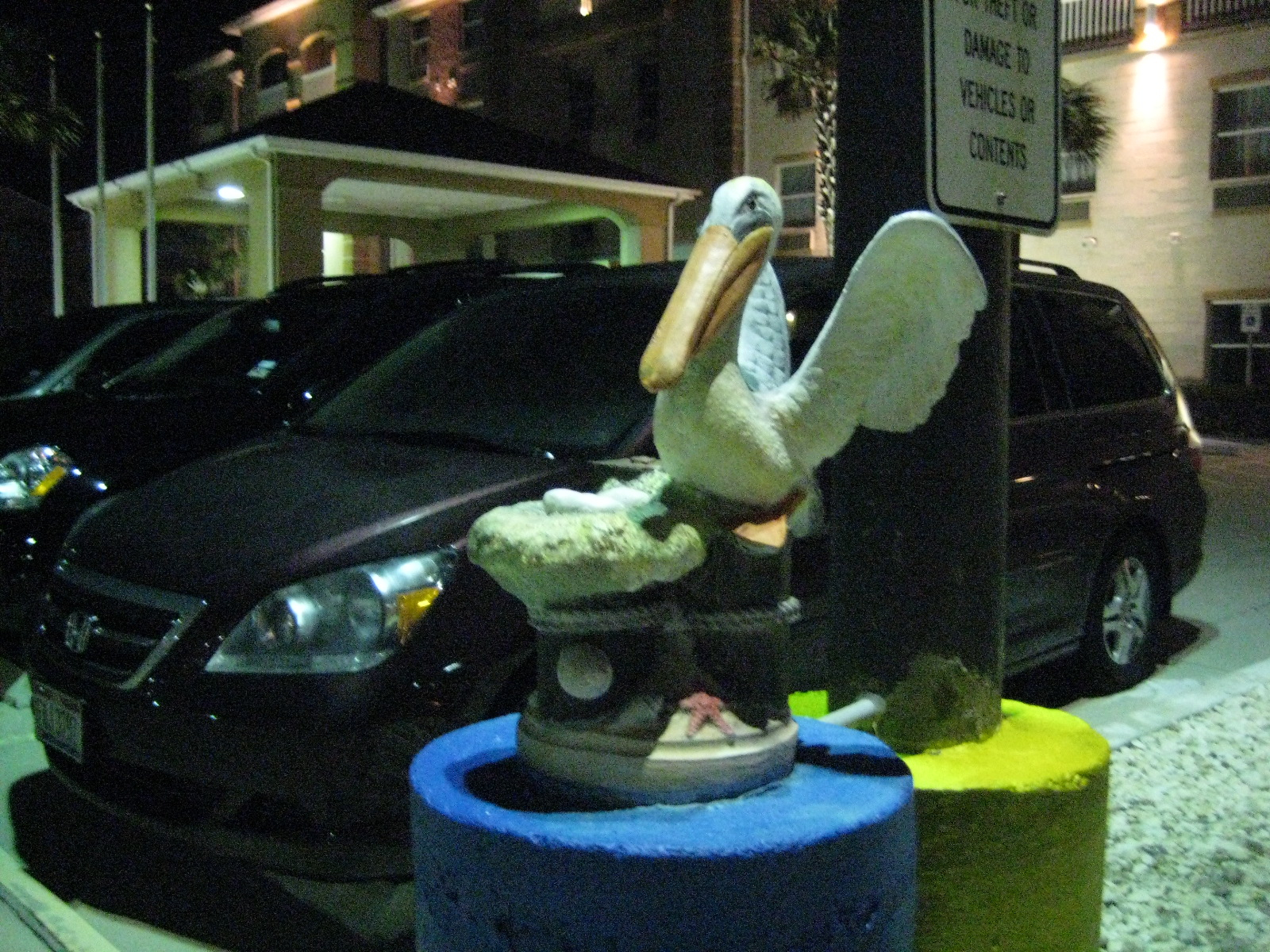 Birds!
